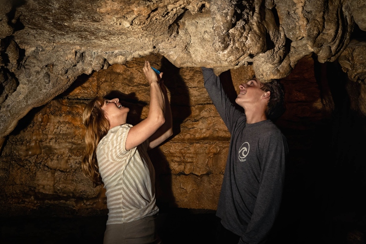 guests enjoying a cave tour